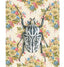 Goliath Beetle Print 8 x 10