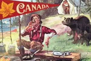 Canada Bear Postcard