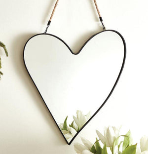 Heart Mirror