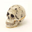 Bejeweled Skull Trinket Box