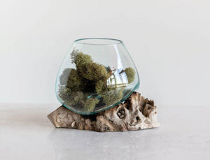 Glass Planter/Vase on Natural Wood Base