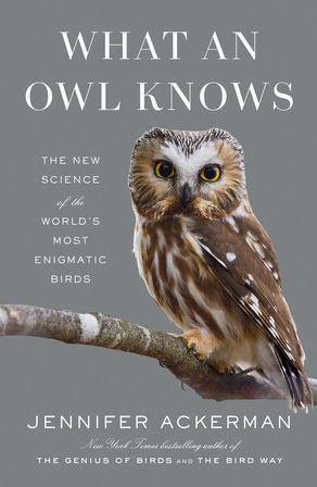 What An Owl Knows Book