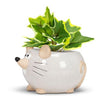 Mini Mouse Planter