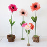 Paper Flower Decor