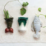Radish Wall Vase