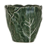 Green Cabbage Planter