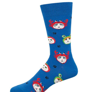 Cats in Hats Socks