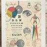 Optics and Sight 8x10 print