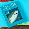 Sharks Slide Puzzle