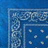 Paisley Patterned Bandanas