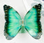 Green Butterfly Hair Claw Clip