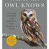 What An Owl Knows Book
