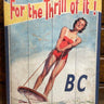 For the Thrill of It Wall Decor