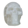 White Resin Skull