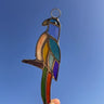 Small Parrot Stained Glass