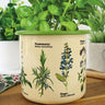 Herbs Enamel Plant Pot