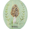Morel Mushroom Art Decor