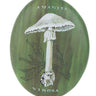 Virosa Mushroom Art Decor