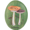 Melanoleuca Mushroom Art Decor