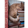 Cat Nap Book Puzzle