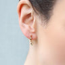 Rainbow Earrings
