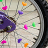 Bicycle Heart Spokes