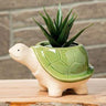 Turtle Planter