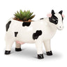 Holstein Cow Planter
