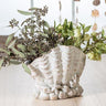 Seaside Planter