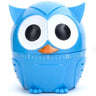 Blue Owlet Kitchen Timer