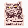 Funny Cat Vinyl Sticker