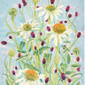 Echinacea Flowers Card