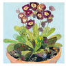 Primula Art Card