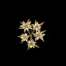 Edelweiss Brooch