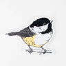 Chickadee Sticker