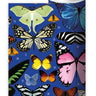 Butterfly Wrapping Paper