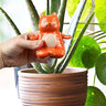Self-Watering Yoga Cat Plant Stake