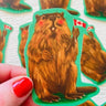 Canadian Beaver Sticker