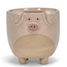 Pig Planter