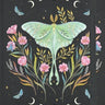 Luna Moth Journal