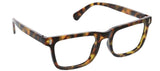 bingham tortoise brown and black readers cheater glasses