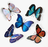Morphos & Monarch Butterfly Set