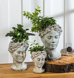 Goddess Planter Small is similar to a greecian style statue made from cement, this planter is perfect for any home garden or apartment greenery. The planter features the face and neck of a goddess.