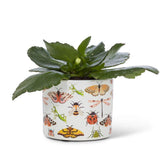 this mini ceramic allover bugs planter features, beetles, ladybugs, moths, dragonflies