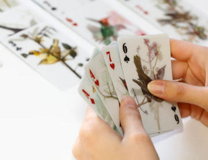 3-d birds playing card, full card deck featuring 3-d birds