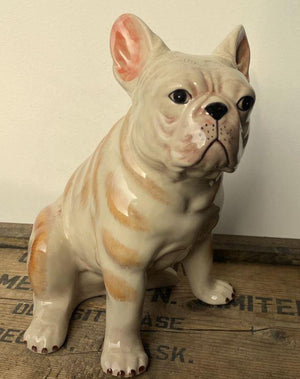 French Bulldog Bank/Decor, Such great detail on one of our favorite breeds. Bull dogs are so ugly, they're cute. That expression is priceless. The ceramic artist has captured the personality of this bread with skill All hand-painted of course using our ex