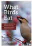 What Birds Eat Book