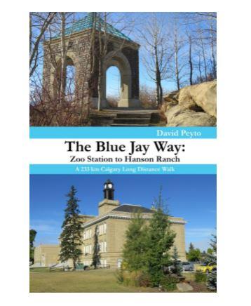 The Blue Jay Way Book