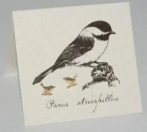 Natural History Chickadee Stud Earrings - Gold