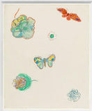 Papillion et Fleurs II - Framed Print